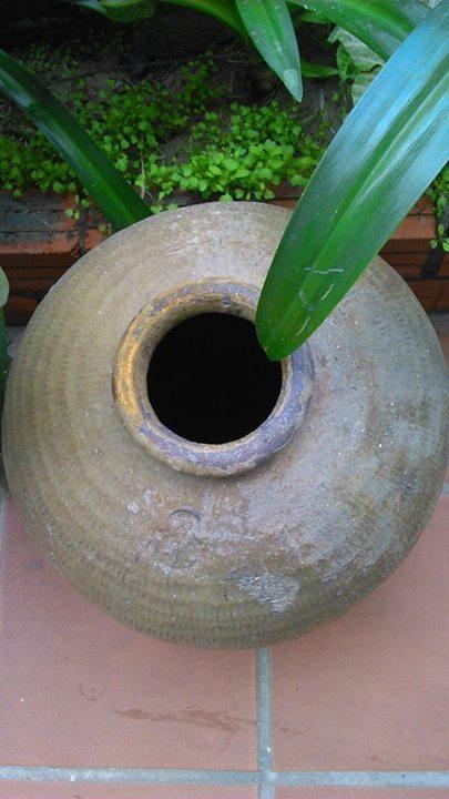 Thao Nguyen Phat Homestay Hoi An Dış mekan fotoğraf